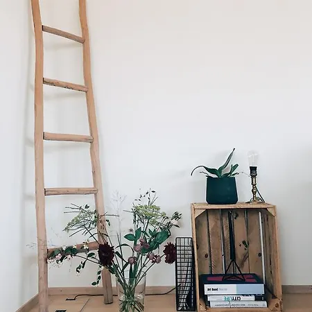 Apartment Avliving Loft *