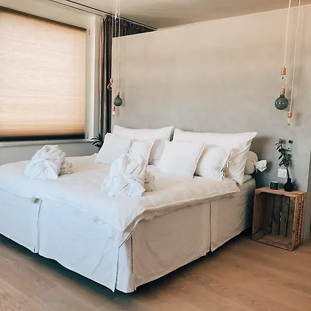 Avliving Loft Basel